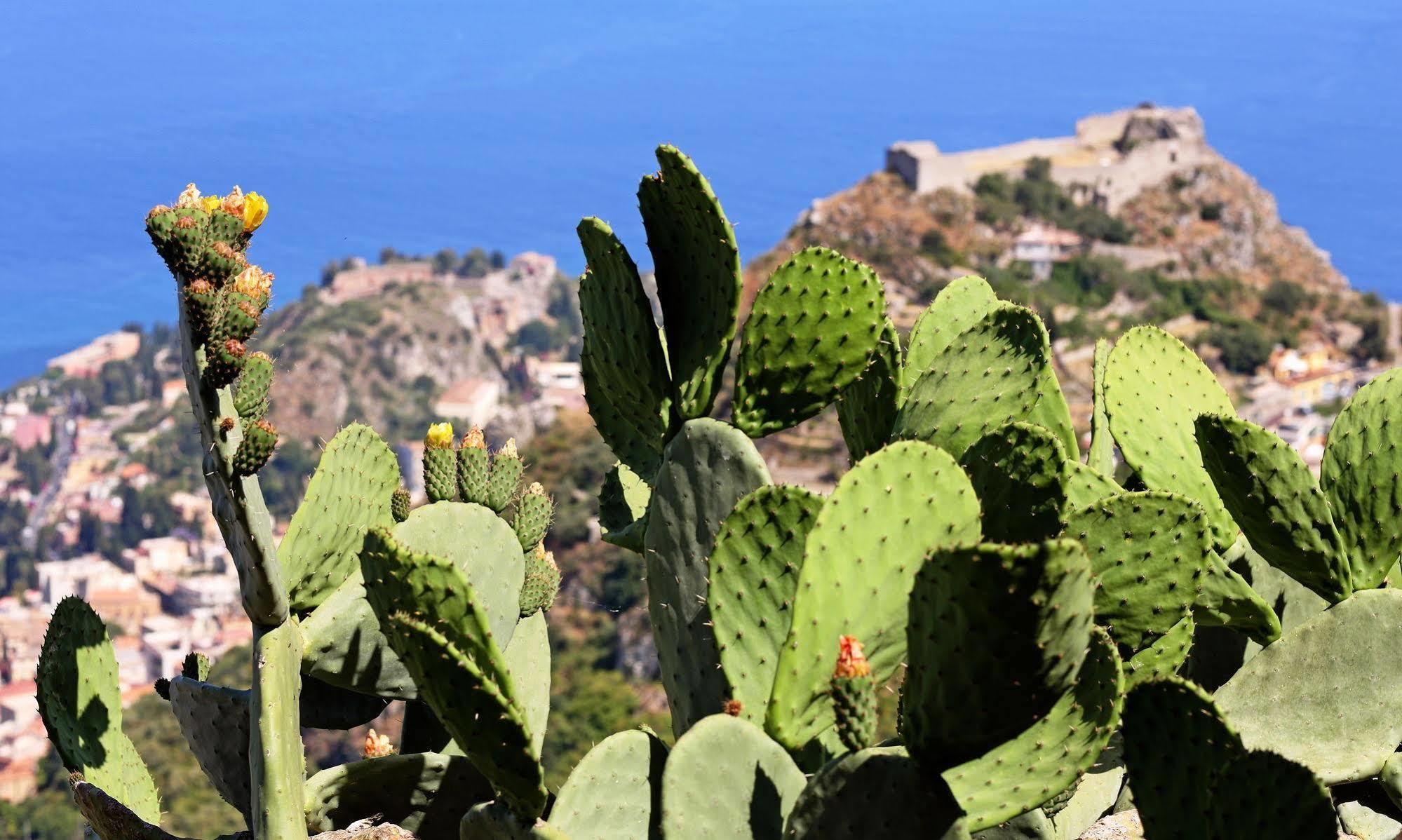 Suite Regina Castelmola Dış mekan fotoğraf